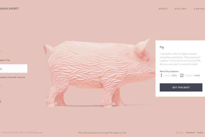 Maxim Shkret website preview